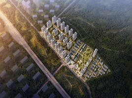 中建金科向山的岛